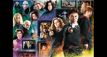 Trefl Trefl 1000 - Wizarding World / Warner Harry Potter