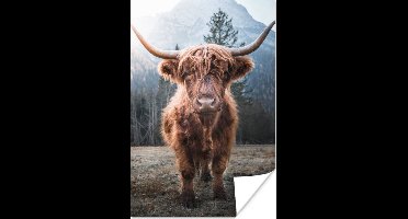 Poster - Schotse hooglander - Koe - Dieren - Natuur - Industrieel - Fotoposter - Muurposter - Woonkamer decoratie - Muurposters slaapkamer - Dierenposter - 20x30 cm - Muurdecoratie