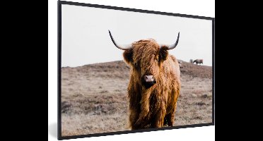 PosterMonkey - Fotolijst - Poster - Dieren - Schotse hooglander - Natuur - Koeien - Poster frame - 90x60 cm - Kader - Poster natuur - Foto met lijst - Woondecoratie - Poster Schotse hooglander
