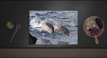 Inductieplaat Beschermer - Duo van Gelukkige Dolfijnen op Zee - 70x52 cm - 2 mm Dik - Inductie Beschermer met zwarte kern