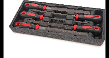 HBM 5 Delige Metaalvijlenset Inlay voor HBM Gereedschapswagen