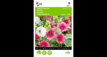Malope, Trechtermalva Grandiflora gemengd
