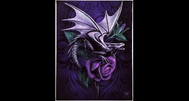 Anne Stokes - Dragon Beauty - Canvas afbeelding