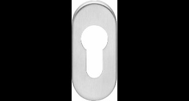 Intersteel Rozet profielcilindergat ovaal verdekt rvs geborsteld 4 mm