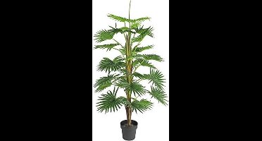 Non-branded Kunstplant Washingtonia 70 X 150 Cm Groen