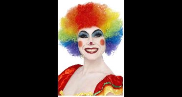 Clown Regenboog Pruik - voor clownkostuum voor carnaval Halloween