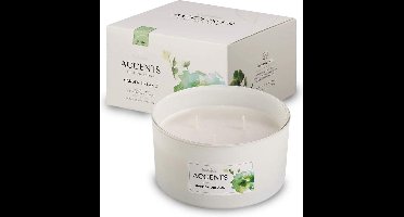 Bolsius Accents - Geurkaars - Garden Dreams - Multi Lont