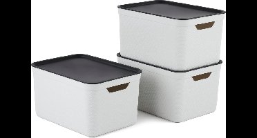 Rotho Jive opbergboxen set van 3 Opbergdozen 16 L met Deksel, Kunststof (PP Gerecycled), Wit/Antraciet, 3 x 16 L (37,5 x 27,8 x 29,8 cm)