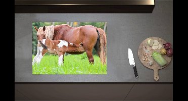 Inductieplaat Beschermer - Bruin met Wit Gevlekt Veulentje Drinkend bij Moeder in het Grasveld - 71x50 cm - 2 mm Dik - Inductie Beschermer - Bescherming Inductiekookplaat - Kookplaat Beschermer van Wit Vinyl