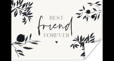 Poster BFF - Best friends forever - Beste vrienden - Quotes - Spreuken - 30x20 cm