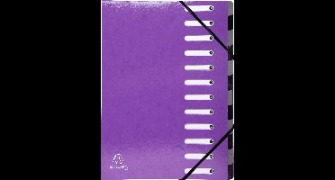 Exacompta 6x IDERAMA® Harmonika Sorteermap - 12 indelingen - Purper - 53926E