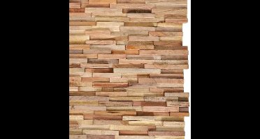 3D Houten Wandpanelen – Wandbekleding – Muurdecoratie – Plafondpanelen – Interieurpanelen – Massief Hardhout – 10 Stuks Mix Kleur – Weerbestendig & Eenvoudig Te Installeren