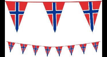PE vlaggenlijn slinger Noorwegen - Norge, lengte 10 meter