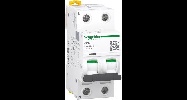 Schneider Electric stroomonderbreker - A9F86616 - E34BG