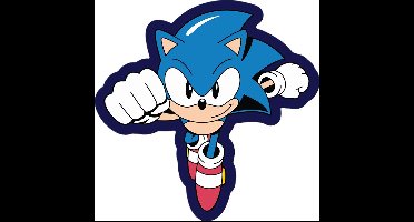 Kussen van Sonic