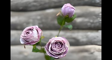 Buitengewoon de boet - Roze 3 knoopjes licht violet