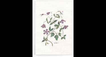 Walljar - Clematis - Muurdecoratie - Poster
