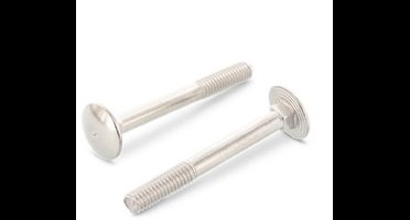 Slotbout M10 x 110 DIN 603 RVS A2 (50 stuks)