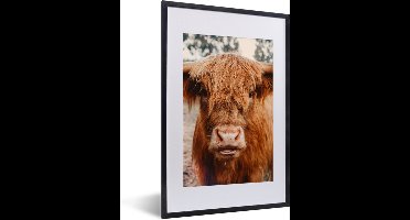 PosterMonkey - Fotolijst - Schotse hooglander - Dieren - Koe - Poster - Poster met kader - Foto in lijst - 40x60 cm - Poster dieren - Poster Schotse hooglander - Wanddecoratie - Posterlijst