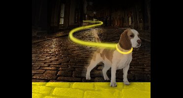 Duvoplus - Dierenkleding - Hond - Halsband Nylon Licht Usb 40-55cm/2,5cm Neon Geel - 1st