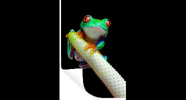 Muurstickers - Sticker Folie - Kikker - Dieren - Plant - 20x30 cm - Plakfolie - Muurstickers Kinderkamer - Zelfklevend Behang - Zelfklevend behangpapier - Stickerfolie