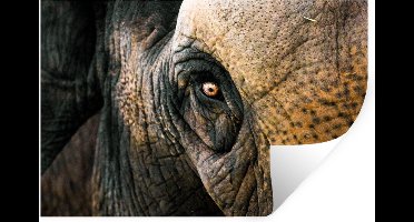 Muurstickers - Sticker Folie - Olifant - Close up - Dieren - Natuur - 30x20 cm - Plakfolie - Muurstickers Kinderkamer - Zelfklevend Behang - Zelfklevend behangpapier - Stickerfolie