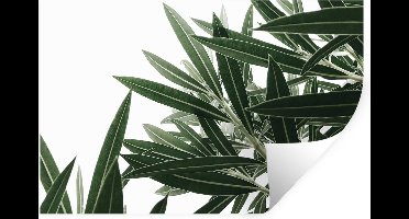Muurstickers - Sticker Folie - Natuur - Planten - Bladeren - 30x20 cm - Plakfolie - Muurstickers Kinderkamer - Zelfklevend Behang - Zelfklevend behangpapier - Stickerfolie