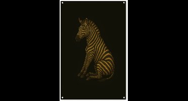 Tuinposter 80x120 cm - Tuindecoratie Zebra - Strepen - Goud - Poster voor in de tuin - Buiten decoratie - Schutting tuinschilderij - Tuindoek muurdecoratie - Wanddecoratie balkondoek