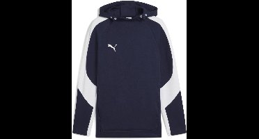 Puma Hoodie TeamEVOSTRIPE Hoody 659954 Puma Navy-Puma Silver-Puma White-S