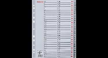 Esselte Index A4 - 0,12mm PP - Tabs 1-54 - 11-gaats - Grijs