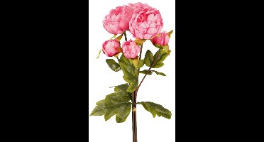 Emerald - Kunstbloem Pioenroos Bundel 50cm fuchsia - Kunstplant voor binnen