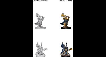 D&D Nolzur's Marvelous Miniatures: Dwarf Paladin