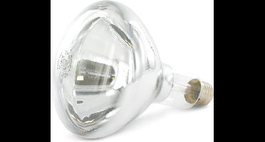 Philips Warmtelamp - 250w - Wit