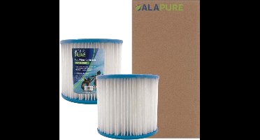 Spa Waterfilter voor Intex Type D
