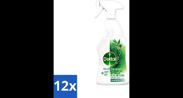 Dettol Tru Clean - Allesreiniger - Spray - Eucalyptus - Multi-Oppervlakken - 500ml - Voordeelverpakking - 12 stuks