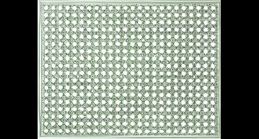 MD Entree - Deurmat - Outdoormat - Lizzy - Desert Sage - 48 x 62 cm