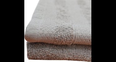 Zydante Wellness® - Terry Handdoek - Lichtgrijs