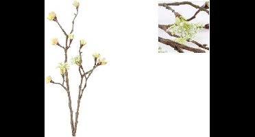 Esdoorn fruit tak Quince 55x13cm wit