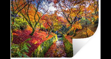 Muurstickers - Sticker Folie - Uitzicht op de kleurrijke bladeren van de esdoorns - 30x20 cm - Plakfolie - Muurstickers Kinderkamer - Zelfklevend Behang - Zelfklevend behangpapier - Stickerfolie