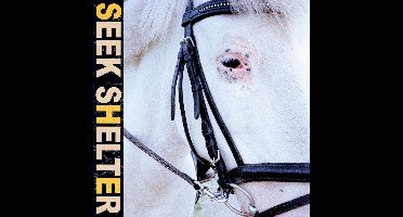 Iceage - Seek Shelter (CD)