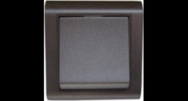 UNIVERSEEL - ENKELPOLIGE SCHAKELAAR INBOUW RAINBOUW GREY