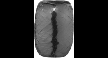 Wefiesta Cadeaulint Metallic 20 M X 5 Mm Polyester Zwart