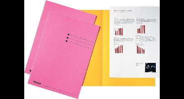 INLEGMAP ESSELTE KARTON ROZE