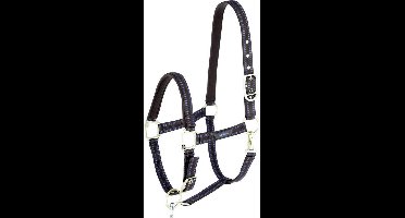 Halster GoLeyGo systeem - maat Pony - brown/lightblue