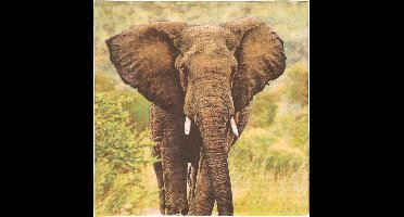 Esschert Design Servetten - Olifant print - 33x33 cm - Afrika / safari thema - wegwerpservetten