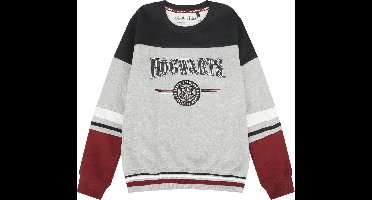 Harry Potter Kids - Hogwarts - England Made Sweatshirt - meerkleurig - 176