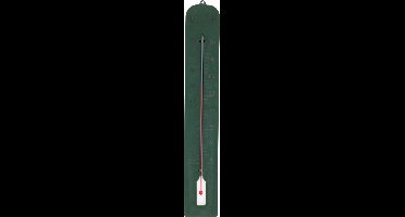 Pro Garden Binnen/buiten thermometer XXL- Donkergroen - kunststof - 45 x 10 cm - binnen/buiten