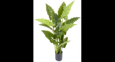 Oosterik home - Allocasia groen 110 cm kunstplant Oosterik Home