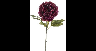 Emerald - Kunstbloem Pioenroos 77cm bordeaux - Kunstplant voor binnen