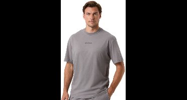 Björn Borg Borg Classic T-Shirt - Grijs/Taupe